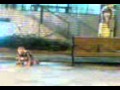 Americas Funniest Home Videos AFV 2011