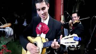 El Son De La Negra-Mariachi Nuevo Tamazula
