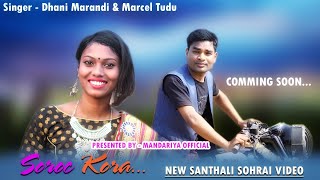 Soroc koraNew Santhali Sohrai Song//2021 Dhani Mar