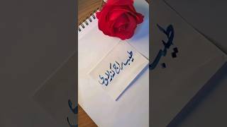 Tayyab Raj kandlavi name's calligraphy video #calligraphymasters #moderncalligraphy #nameart 