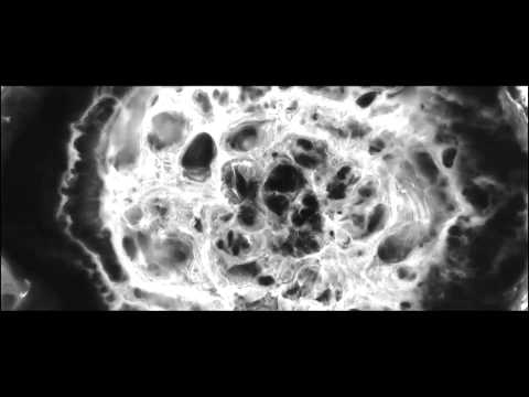 STYLE FRAMES NEW YORK