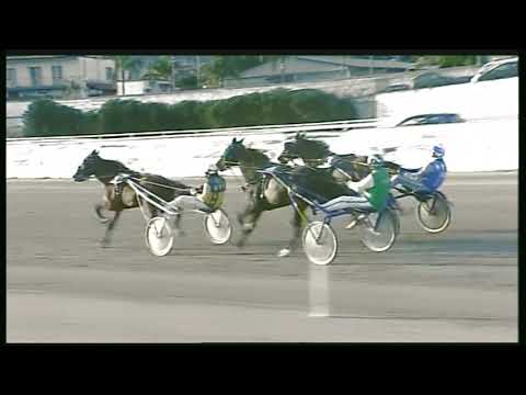 Trotto 28/02/2020 - 5ª corsa