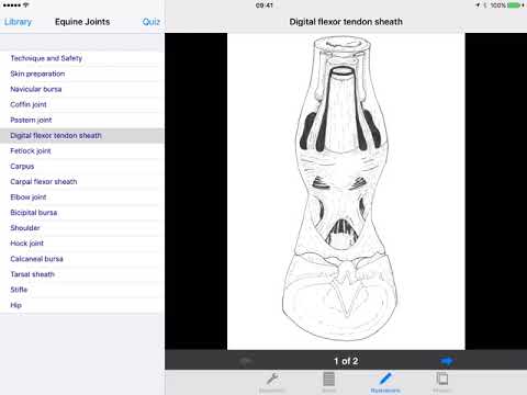 Equine Joint Injections: iPhone and iPad App for Veterinary Professionals