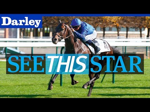 See This Star -  Cloth of Stars