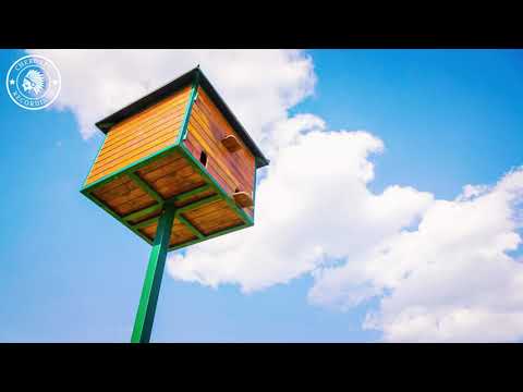 John Castel & Xan Castel - Castle In The Sky (Official Video)