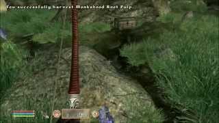 Let's Play Oblivion Part 67 - The Naked Water Walker Feat. Lukuz13
