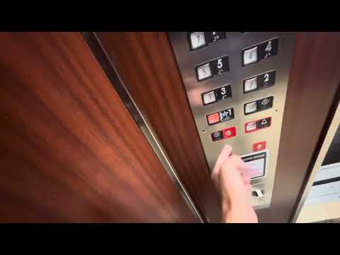 Montgomery Kone elevator at Wingate at Wyndham - Springfield, VA