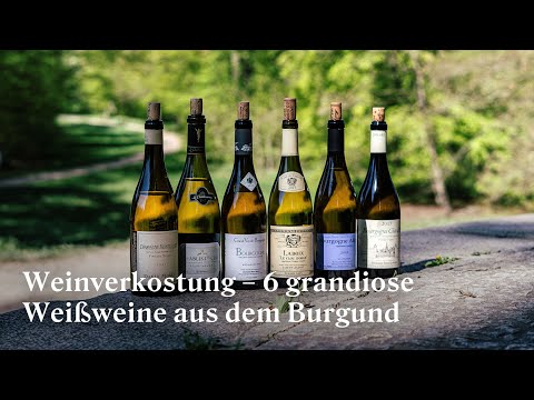 Weinverkostung | 6 grandiose Weißweine aus dem Burgund in der Online Weinprobe