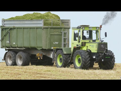 MB Trac 1000 😮 40 years of full power 💪 Grass harvest 2023 with Claas Jaguar 940!