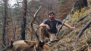 Through the eyes of a hunter - Solo DIY Idaho Elk!  Limitless 31