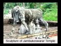 Jambukeswarar Temple Video
