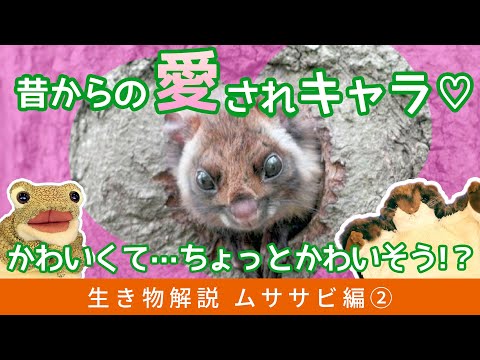 IUCN分類における絶滅の危険性を示す図。