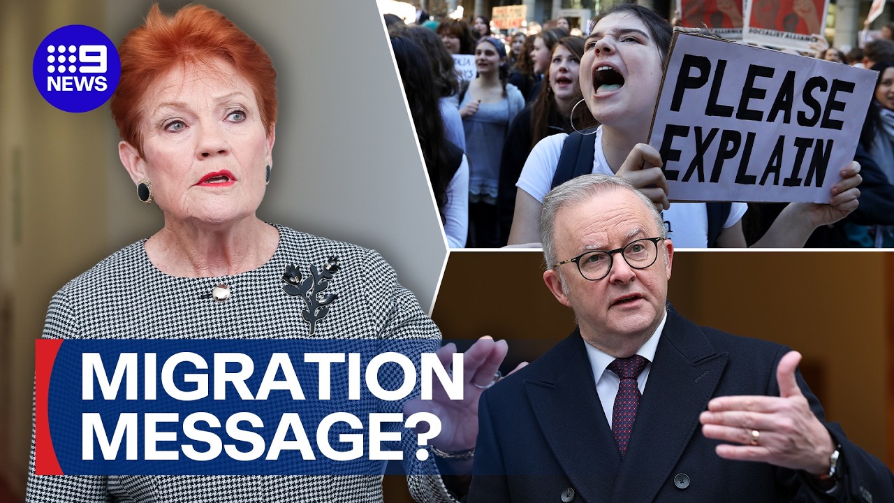 What actually is One Nation's stance on migration? | 9 News Australia