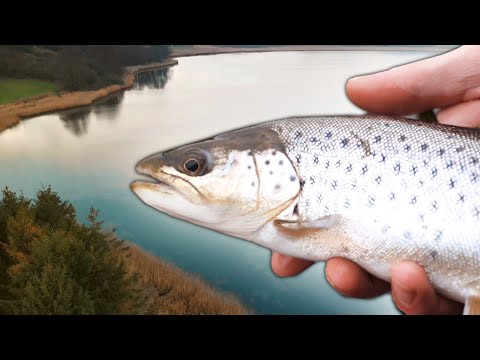 Where To Find The Tricky Winter Sea Trout? Part Two: Fjords
