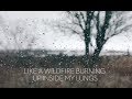 SYML - "Wildfire" - Alternate Version [Official Lyric Video]