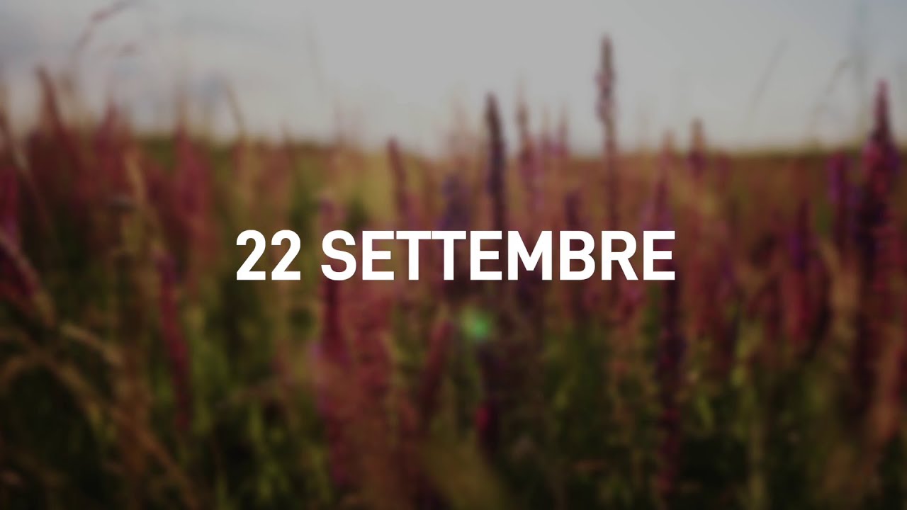 22 Settembre 2025 | Meditazione Parole di Vita