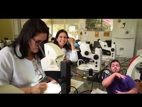 Short Institutional Video - Veterinary Medicine Institute at UFPA