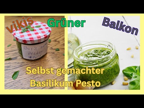 Basilikum Pesto selber machen mit Parmesan und Pinienkernen Rezept.Vikis grüner Balkon