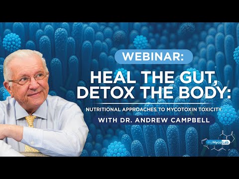Heal the Gut, Detox the Body — Nutritional Approaches to Mycotoxin Toxicity