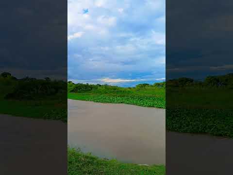 camping Brisol Romang santa fe Argentina #apoyo