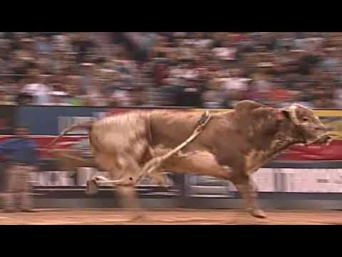 Neon Nights bucks Chris Shivers - 05 PBR Finals