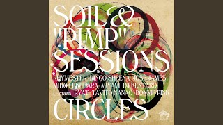 The Assassin's Assassin