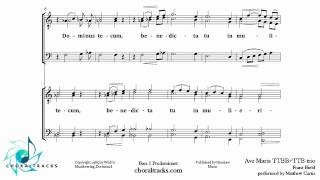 Ave Maria   TTBB+TTB trio Bass 1 Predominant   Franz Biebl   YouTube