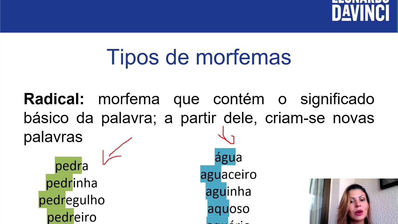Morfologia   tipos de morfema