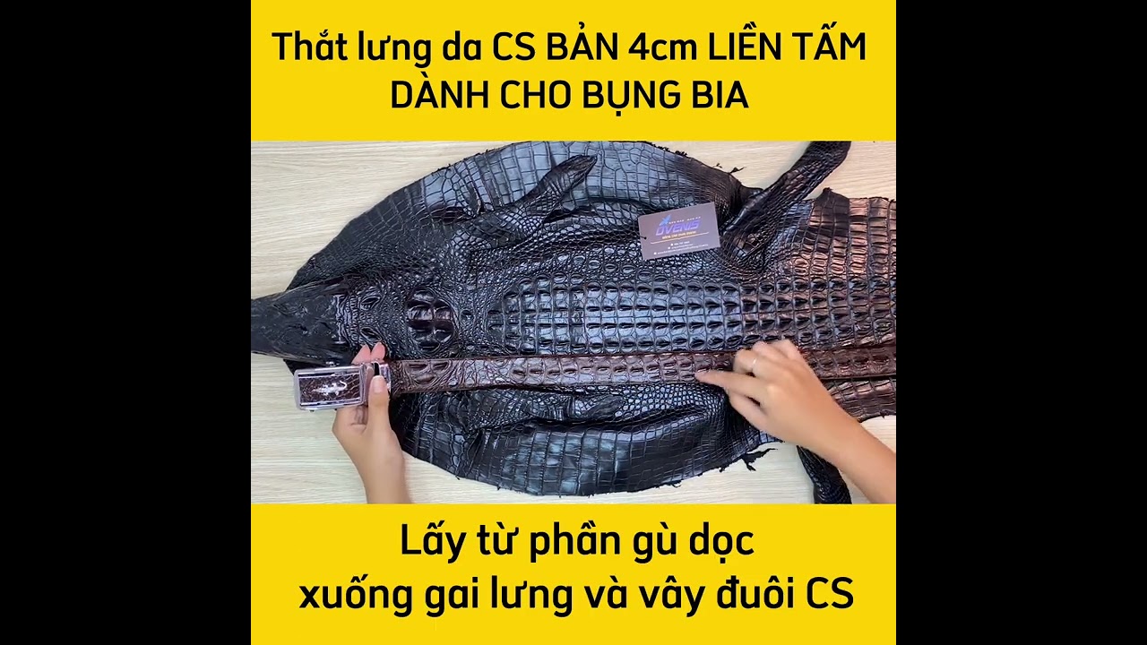 Thắt lưng cá sấu Gai Liền 4cm - Phiên Bản Cao Cấp (mặt vàng)