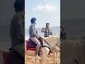 Dosti Hai To Sb Hai ️ Celebratewithshorts Friendship Sad Trending Malikofficial009