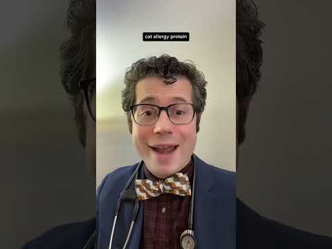 DIY approach may have mixed results #food #cat #allergies