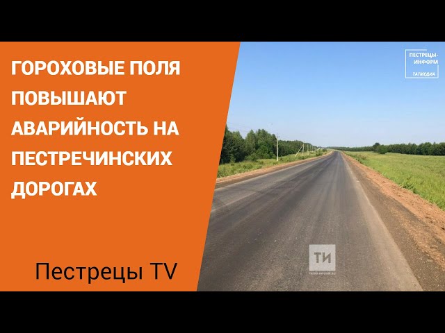 Гороховые поля повышают аварийность на пестречинских дорогах