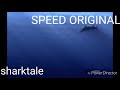 Finding Nemo Barracuda Speed
