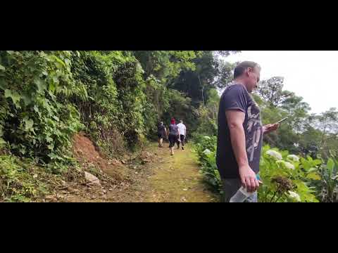 Trilha na Casa da serra - Rio dos cedros/ Santa Catarina ❤️