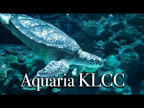 aquaria KLCC in Kuala Lumpur | Largest Aquarium in Malaysia【Full Tour in 4k】