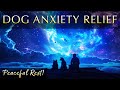 Dog Anxiety Relief Music 852Hz Frequencies For Peaceful Rest And Healing