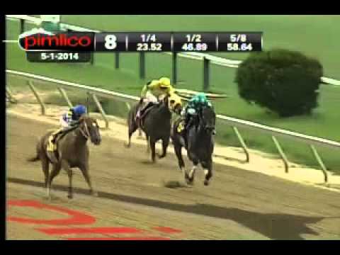 Pimlico 05/01/14 race 8