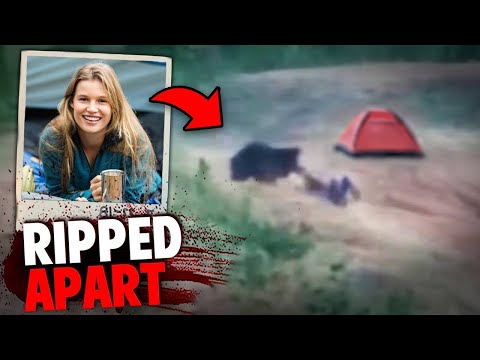 6 самых ШОКИРУЮЩИХ нападений животных в истории Йеллоустонского национального парка...