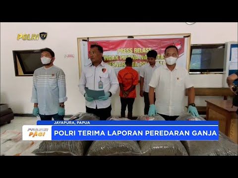 DITRESNARKOBA POLDA PAPUA AMANKAN WNA ASAL PAPUA NUGINI TERKAIT GANJA
