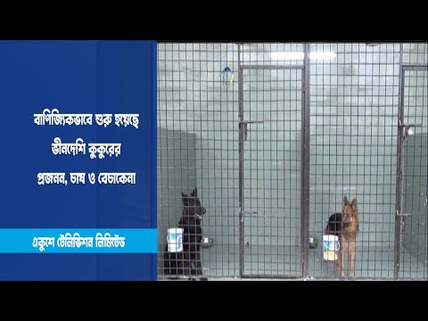 বিদেশী কুকুরের খামার