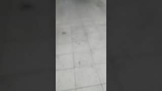 Injúria por parte de funcionário que fica dentro do estacionamento Supermercado Barbosa Jd. Jacira