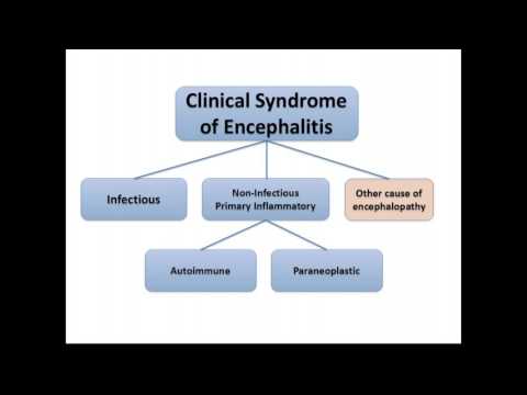 Autoimmune Encephalopathies