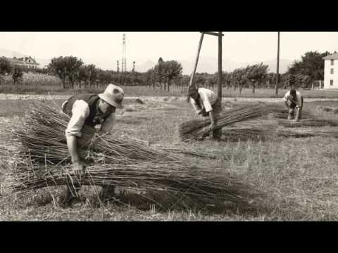 Produzione del cibo nella città industriale di Dalmine