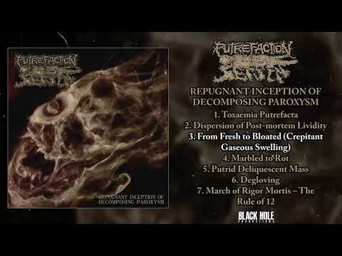 Putrefaction Sets In - Repugnant Inception Of Decomposing Paroxysm FULL ALBUM (2022 - Goregrind)