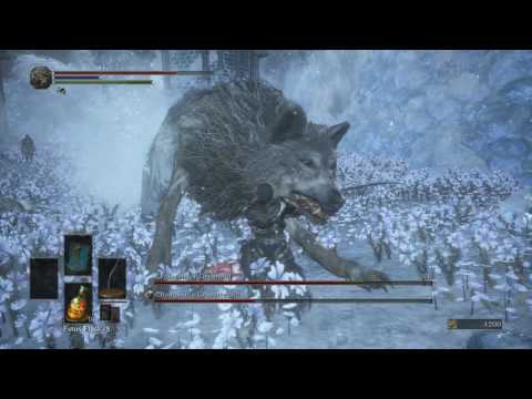 Dark Souls 3 DLC: Champion Gravetender and his wolf