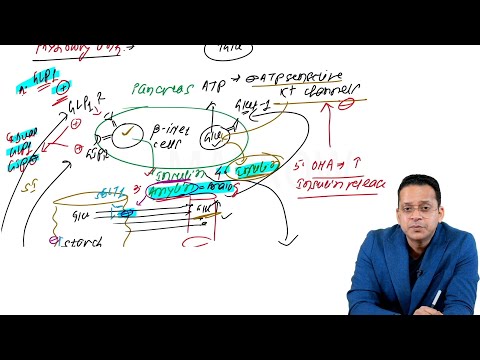 Overview of Anti-diabetics | Edition 8 Sample Video (Pharmacology)