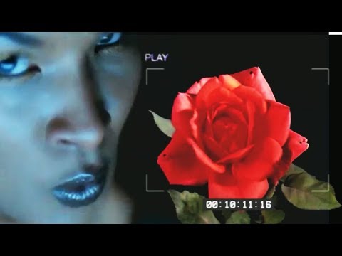 Robin Skouteris - Whole Lotta Rockin' Beats (Chemical Brothers / Led Zeppelin / RHCP)