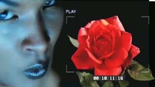 Robin Skouteris - Whole Lotta Rockin&#39; Beats (Chemical Brothers / Led Zeppelin / RHCP)