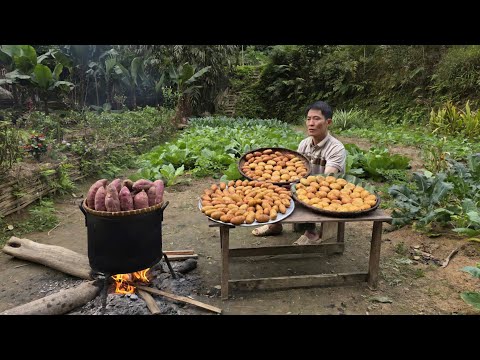 Sweet Potato Cake Flexibility | Traditional Countryside Recipe