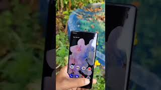 Download lagu Pixel 6 Pro Portrait Video Shoot . Nice video ✌️ Camera . #shorts mp3